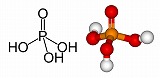 %E2%98%85%E3%83%AA%E3%83%B3%E9%85%B8.jpg