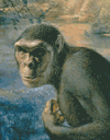 %E3%83%88%E3%82%A5%E3%83%BC%E3%83%9E%E3%82%A4%E6%B9%96.gif