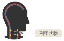 %E4%BA%BA%E5%89%AF%E7%94%B2%E7%8A%B6%E8%85%BA.gif