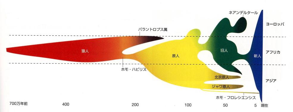 %E4%BA%BA%E9%A1%9E%E7%B3%BB%E7%B5%B1%E6%A8%B9.jpg