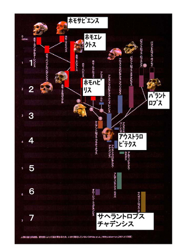 %E4%BA%BA%E9%A1%9E%E7%B3%BB%E7%B5%B1.jpg