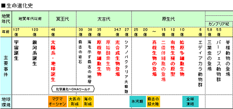 %E7%94%9F%E5%91%BD%E9%80%B2%E5%8C%96%E5%8F%B2%E4%B8%80%E9%83%A8%28%E5%B0%8F%29.bmp