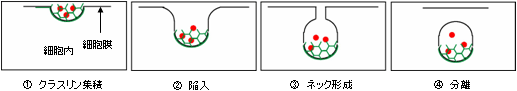 01.gif