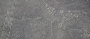 350px-Nazca_colibri