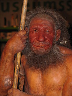 240px-Neandertaler_reconst.jpg