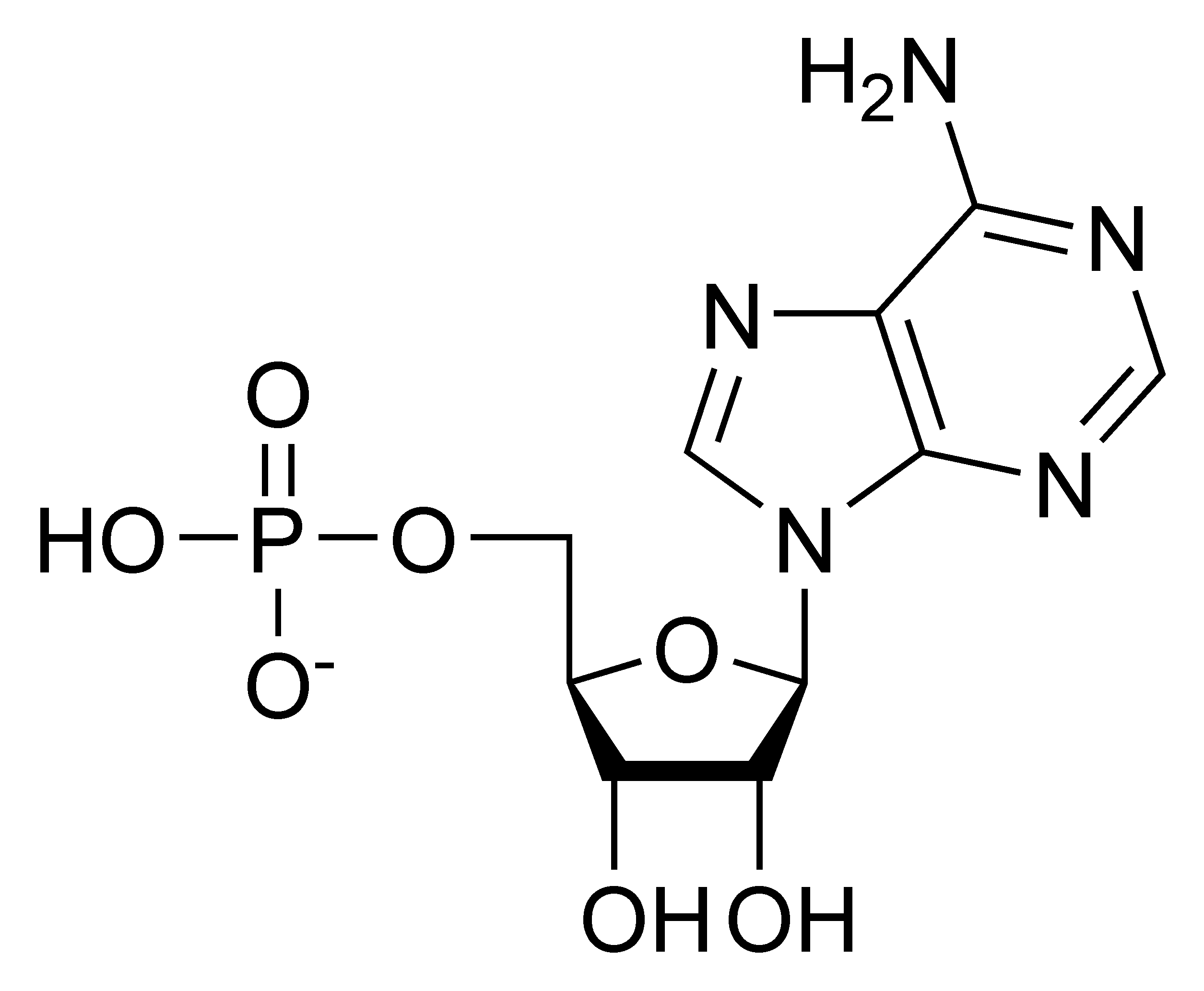 AMP_chemical_structure.png