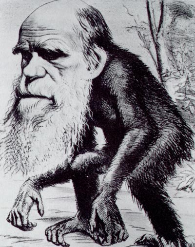 Darwin_ape.jpg