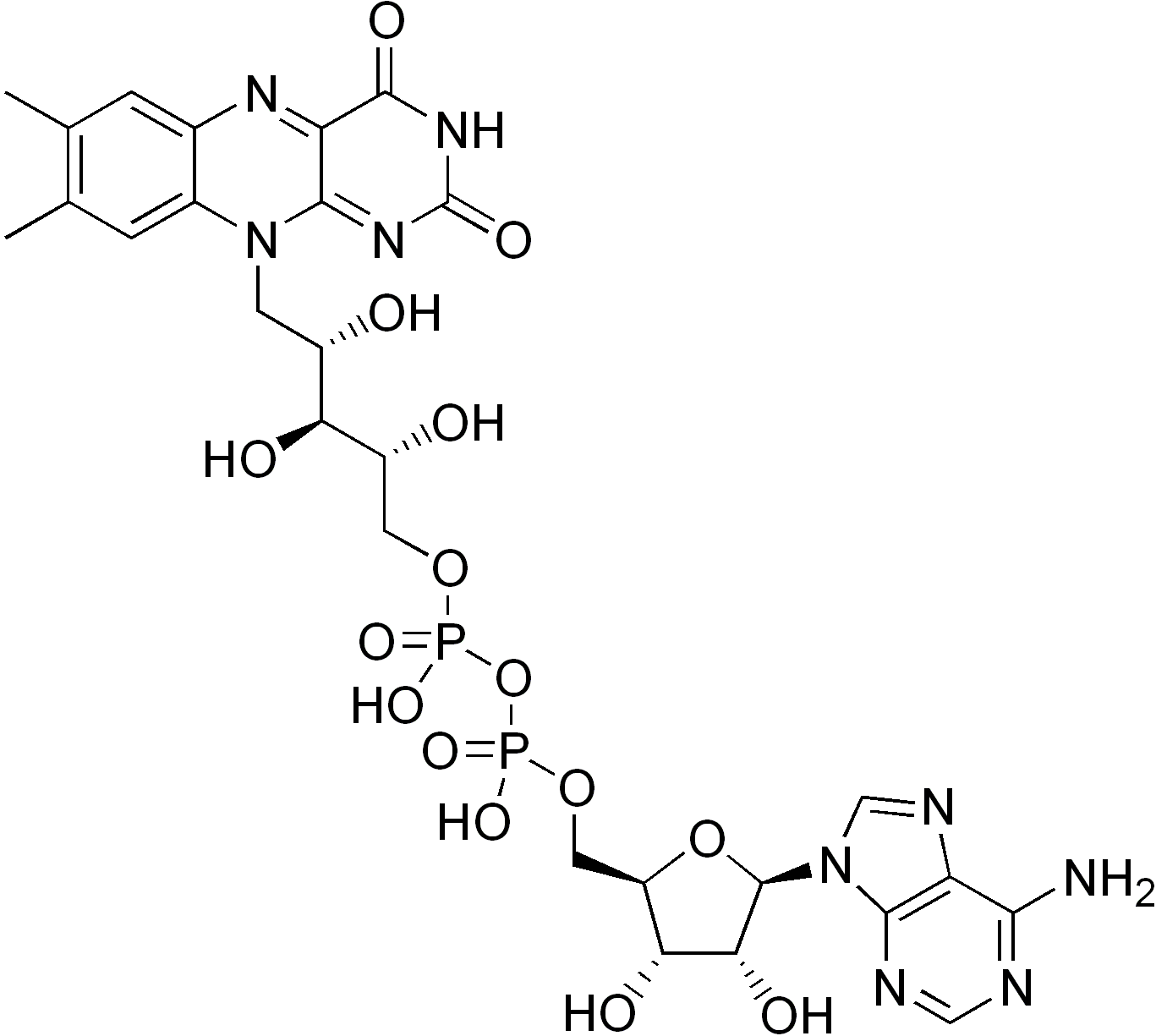 Flavin_adenine_dinucleotide.png