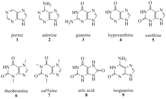 Purines%5B1%5D.gif