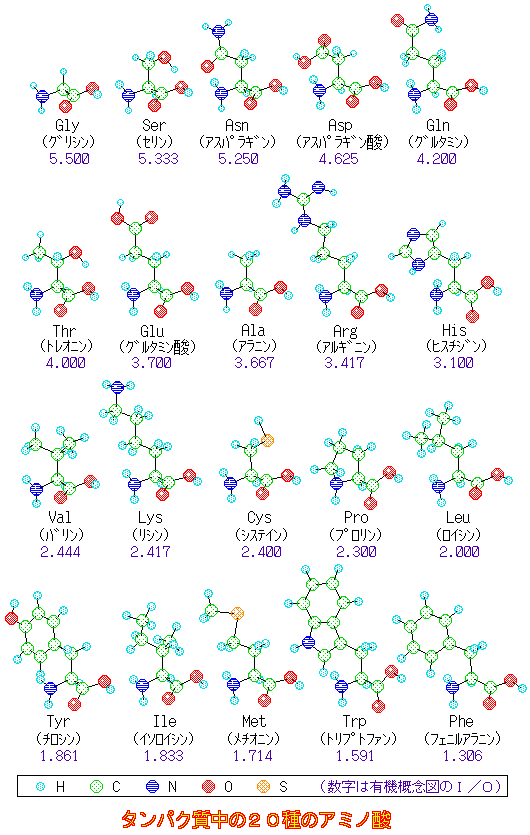 amino20.gif