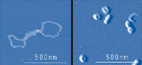 artificial-virus.jpg