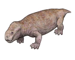 dhikinodon2.jpg