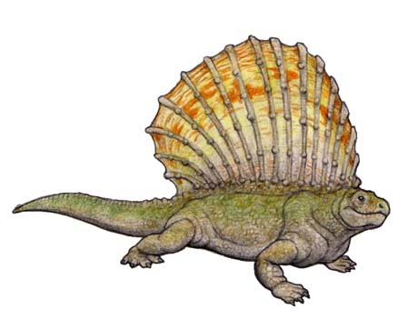 edafosaurusu.jpg