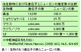 fro1_02.gif