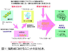 fro1_03.gif