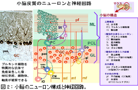 fro1_04.gif