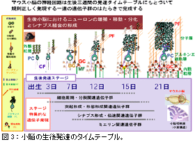 fro1_05.gif