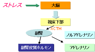 image6.gif