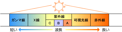 %E7%B4%AB%E5%A4%96%E7%B7%9A%E3%81%AE%E7%A8%AE%E9%A1%9E.gif