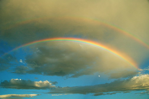 rainbow3-1.jpg