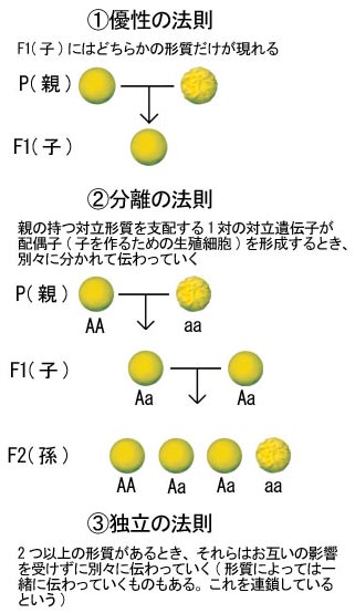 pic4.jpg