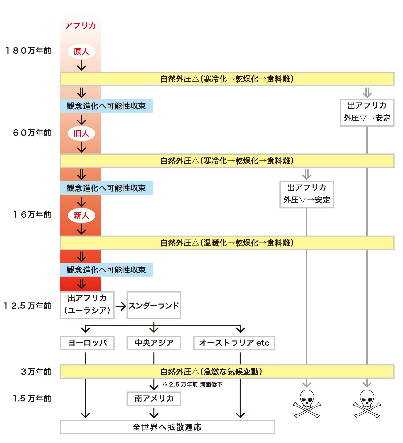 shinjin-teisei.jpg